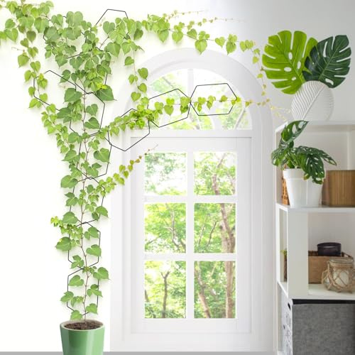Chain Trellis for Climbing Plants Indoor 14 Pcs Metal Plant Supports for Potted Plants Wall Trellis for Monstera, Pothos, Ivy, Roses Hexagonal Design Black