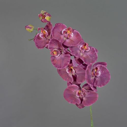 artplants.de Kunststoff Phalaenopsis Orchidee WESA, 100cm | dunkelviolett-weiß - Künstlicher Orchideenzweig