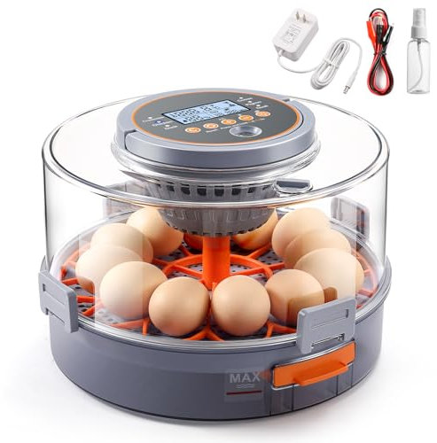 Brutautomat Vollautomatisch OneAmg,Inkubator für 12 Eier mit automatischem Wenden der Eier Temperatur- und Feuchtigkeitskontrolle Eierinkubator Brutmaschine Vollautomatisch für Hühner, Enten, Gänse