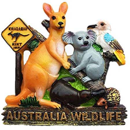 MUYU Magnet Kühlschrankmagnet mit Australien-Tiermotiv, Dekoration für Zuhause und Küche, 1 Stück, 2.36×2.36, Kunststoff