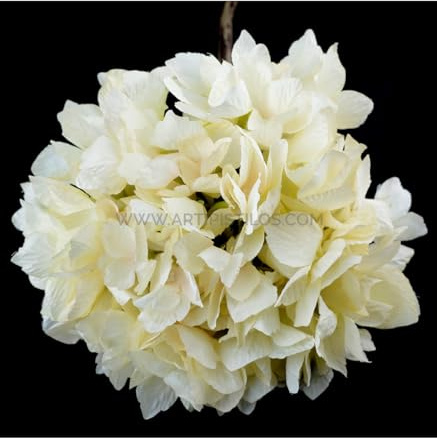 Artipistilos® Hortensia De Tela Anaís - Marfil - Flores De Tela