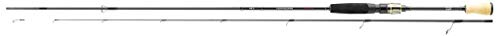 DAIWA Team Light Jigger Spinnrute 2.30m 1-9g