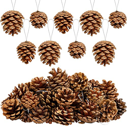 Fovths 30 Pieces 2 Size Christmas Pine Cones with String Mini Rustic Pinecones Bulk Ornaments for Xmas Tree Crafts Holiday Home Hanging Ornament Party Favor Fireplace Table Centerpiece, Natural