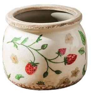 IOEDHW Macetas de cerámica Vintage, Maceta de cerámica de Gran Calibre, macetas con Orificio de Drenaje, maceteros rústicos de 7 Pulgadas para jardín Interior - Macetas de Interior
