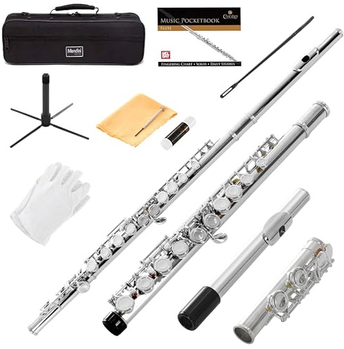 Mendini By Cecilio Flute, 16 Keys Closed Hole C Flute Instrument For Beginners with Carrying Case, Cork Grease, Stand, Lesson Book, Cleaning Kit, Gloves (Silver)