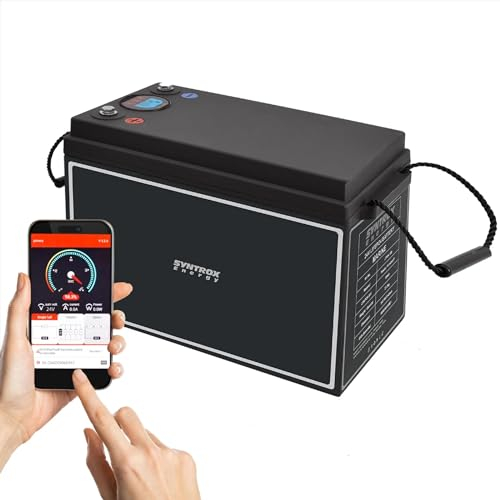 Syntrox Germany Lithium LiFePO4 Wohnmobil 24V Batterie, Externes Display, 2000 Zyklen Lebensdauer, Kunststoff- und Edelstahlgehäuse (150Ah + Display)
