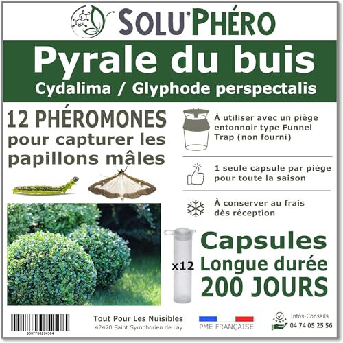 SOLUPHERO - 12 Phéromones Longues durées pour la pyrale du buis - 12 x 200 Jours