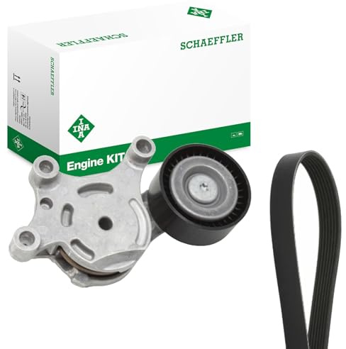 INA 529 0261 10 Keilrippenriemensatz 975mm 6-Rippenanzahl Kompatibel mit FORD Fiesta Mk6 Schrägheck JA8, JR8 1229540 1611277880 1611277580
