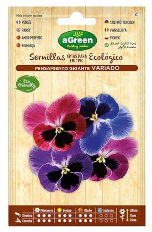 AGREEN - Sobre semillas pensamiento gigante agreen - EDM 06417