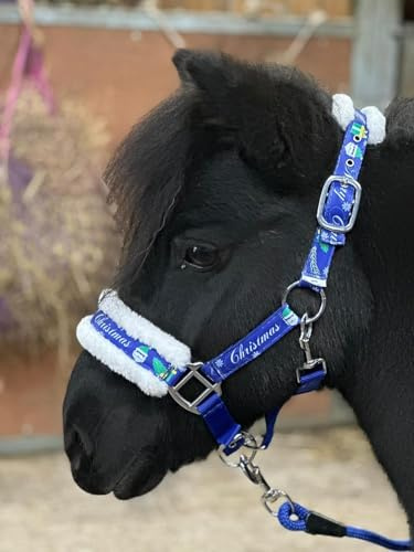 Halfter mit Weihnachtsdruck, blaues Halfter, Leinenseil-Set für Mini-Shetty (Cob)