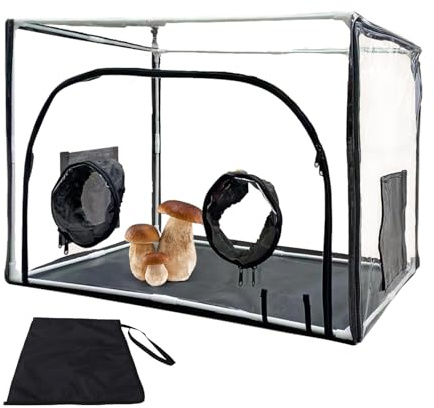 Pilzanbauset – Feste Luftbox mit transparenter Haube und Filtertüren | Mycology Tub fruchtigend für Sporen, Weizenbeutel, Innenvermehrung, Landwirte