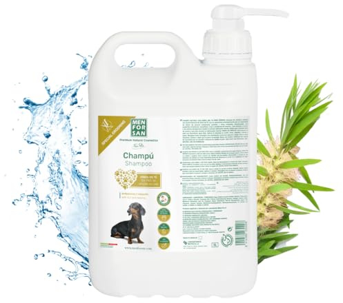 Shampooing Men for San Chien Arbre à thé Caramel (5 L)