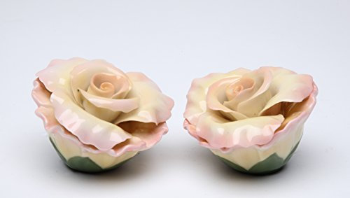 StealStreet ss-cg-20731 2,5 Rosa de Rosa Pintado Flores salero y pimentero Set
