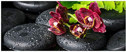 Wallario Glasbild Dunkelrote Orchideen-Blüte auf schwarzen Steinen mit Regentropfen - 32 x 80 cm Wandbilder Glas in Premium-Qualität: Brillante Farben, freischwebende Optik