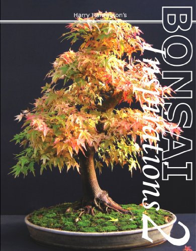 Harry Harrington's Bonsai Inspirations 2