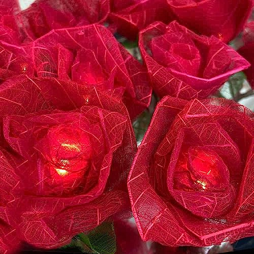 Blaze On Cabbage Rose Fairy Lights (Red) – 20 Warm White LED Lights – Handcrafted Roses Created from Real Rubber Tree Leaves – USB Powered with UK 3-Pin Adapter – Indoor Decorative String Lights