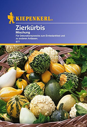 Kiepenkerl Zierkürbissamen Mischung 877 - Ideal für Dekorationszwecke - Wuchshöhe bis zu 3 Metern - Inhalt für ca. 20 Pflanzen - Saatgut, Gemüsesamen