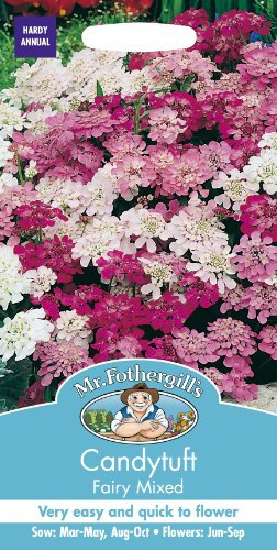 Mr Fothergill's 12022 Flower Seeds, Candytuft Fairy Mixed, Pink,White