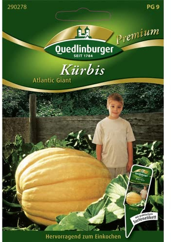 Kürbis, Atlantic Giant