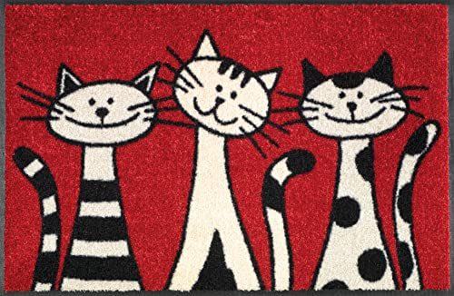 wash+dry Fußmatte, Three Cats 50x75 cm, innen und außen, waschbar