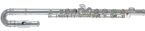 Roy Benson barnflöjt FL-102, flöjt (mekanism i nysilver, med fingerknappar, förstklassiga PISONI-dynor, inkl. torkpinne och putsduk, lätt rektangulärt fodral med ryggsäckssats), silver