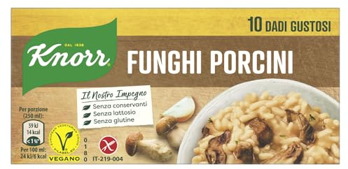 Knorr Funghi Porcini senza Conservanti, 10 Dadi, 100g