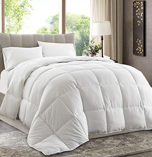 Chezmoi Collection All Season Twin Size Down Alternative Comforter - Plush Microfiber Fill - Box Stitch Quilted - Duvet Insert with Corner Tabs (Twin, White)