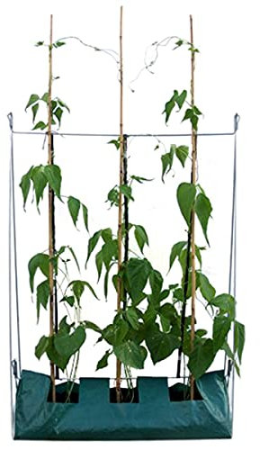 Large Growbag Frame Metal Design Grow Bag, Tomato, Peppers, Organic Growing 1.2 Metre