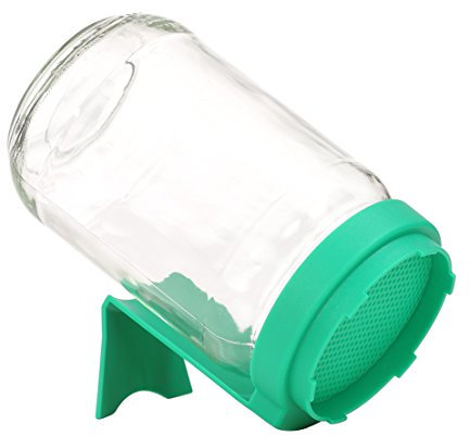 Dehner Sprossenglas, Ø 8 cm, Höhe 16 cm, Glas