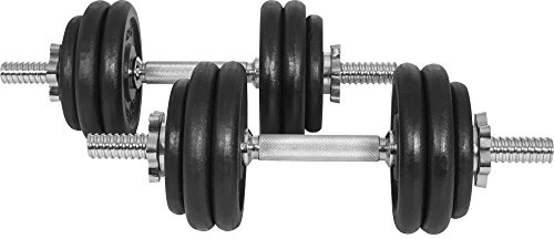 GYRONETICS® Kurzhanteln 30 kg, 2er Set, 25 mm, 12 Gusseisen-Hantelscheiben | Mit 2 gerändelten Kurzhantelstangen à 43 cm und 4 Sternverschlüssen; 4 x 1,25 kg und 8 x 2,5 kg Gewichte, Hantelset