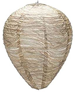 2 x Papier Köder Wespenneste