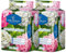 Floragard 2 x Endless Summer Hortensia Terre Rouge/Blanc 20 L, 114826