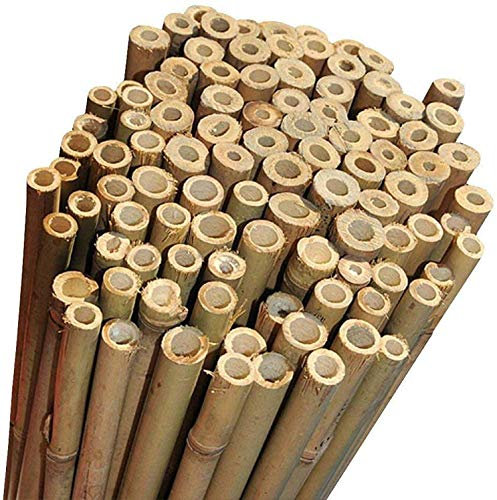 arredogiardini.it Canne di bamboo Cm 180 x Ø Mm 24-26