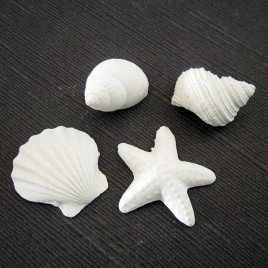 Vaquerprofumatori oggettistica profumata in Gesso (LD2008) Conchiglie Miste pz 24 cm.3x4