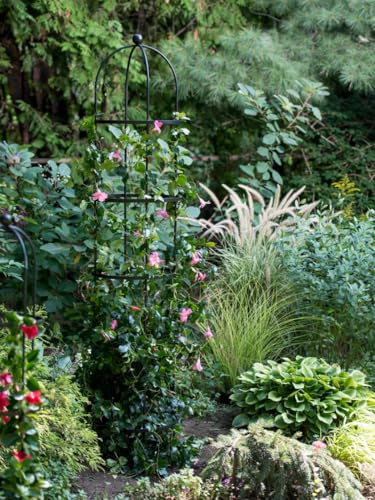 Gardener's Supply Company 7 Ft Essex Round Trellis | Sturdy Powder-Coated Steel Freestanding Obelisk Garden Trellis for Vines, Clematis, Climbing Roses & Other Vining Plants - 7ft X 15-1/4