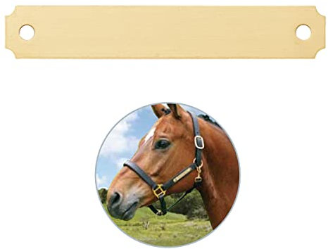 Pferdeschild mit Gravur - mittel (innen gerundet) - für Halfter, Trense, Stall