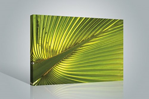 1art1 Palmas Póster Impresión En Lienzo Hoja De Palmera De Cáñamo Cuadro En Bastidor De Camilla De Madera | Mural XXL | Imagen 120x80 cm