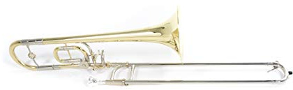 Roy Benson Children's Bb/C Trombón TT-220 (campana de latón de 8, corredera exterior de alpaca, corredera interior de alpaca cromada dura, con características ergonómicas)