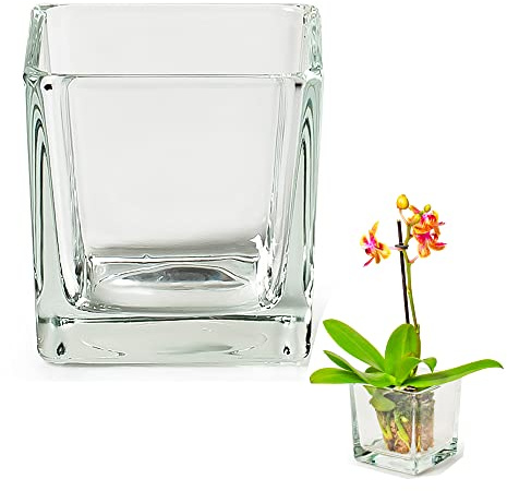12 x stilvolle Massive Glaswürfel als Windlicht für Teelichter 6 x 6 x 6 cm | Auch als Vorspeisengläser Dessertgläser oder Vase einsetzbar