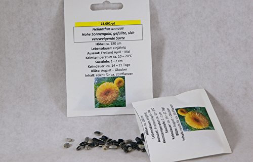 Sonnenblume hohe Sonnengold gefüllt Samen Saatgut für ca. 20 Pfl. Sonnenblumensamen
