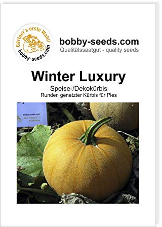 Winter Luxury Kürbissamen von Bobby-Seeds, Portion