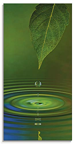 ARTland Wanddeko Glasbilder Wandbild Glas Bild einteilig 30x60 cm Hochformat Natur See Pflanzen Bäume Wassertropfen Blätter T5TK