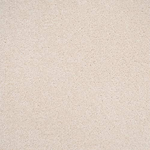 247Floors Carpet, Quality Feltback Twist, Cream