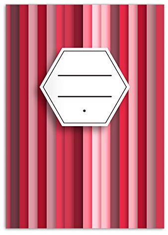 Kartenkaufrausch 2 Trendige DIN A4 Schulhefte, Schreibhefte im Streifen Look, rot Lineatur 27 (liniertes Heft)