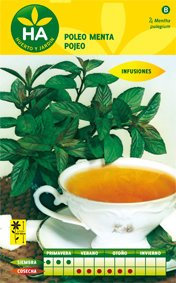 SEMILLAS POLEO MENTA AROMATICA SOBRE