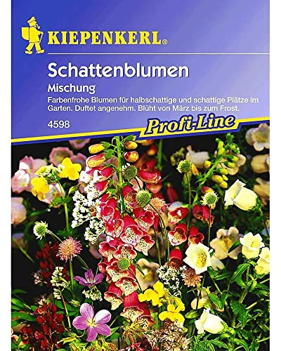 Kiepenkerl Schattenblumen 'Mischung', 1 Tüte Samen