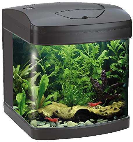 Amtra Laguna XCUBE 26 LED Schwarz - Aquarium komplett mit LED-Beleuchtung und Filter/cm 31x32x37 / 26 Liter