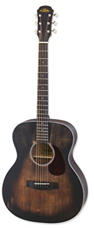 Aria ARIA-101DP