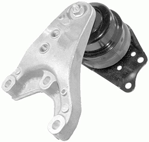 LEMFÖRDER 30542 01 Motorlager für Volkswagen Polo II (9N_, 9A_) 2001-2014 Rechts und Andere Fahrzeuge