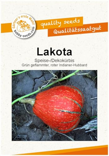 Lakota Kürbissamen von Bobby-Seeds, Portion